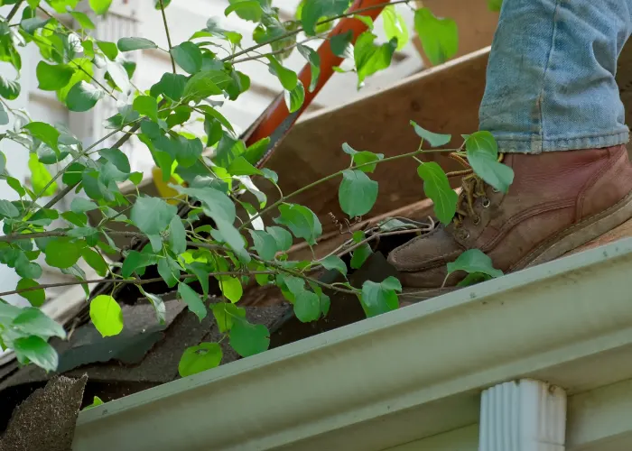 Wesley Chapel roofers cleaning and removing debris during roofing maintenance